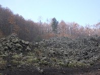 nte Fontane-201011107 008